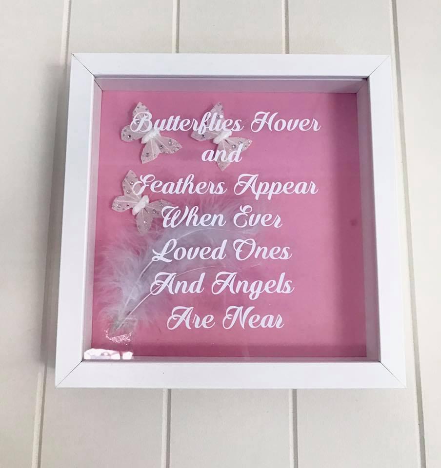 Butterflies Hoover - Shadow box