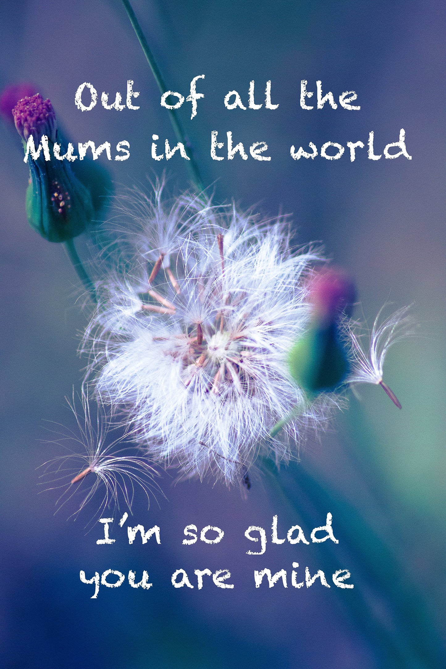 I smile because you my mother, Brown Brothers set