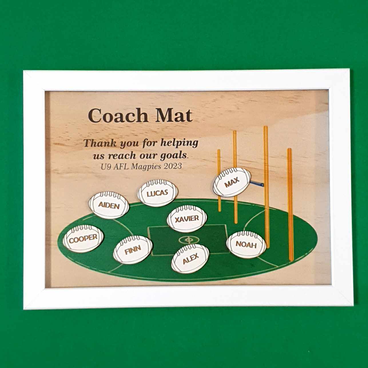 Coach Frames