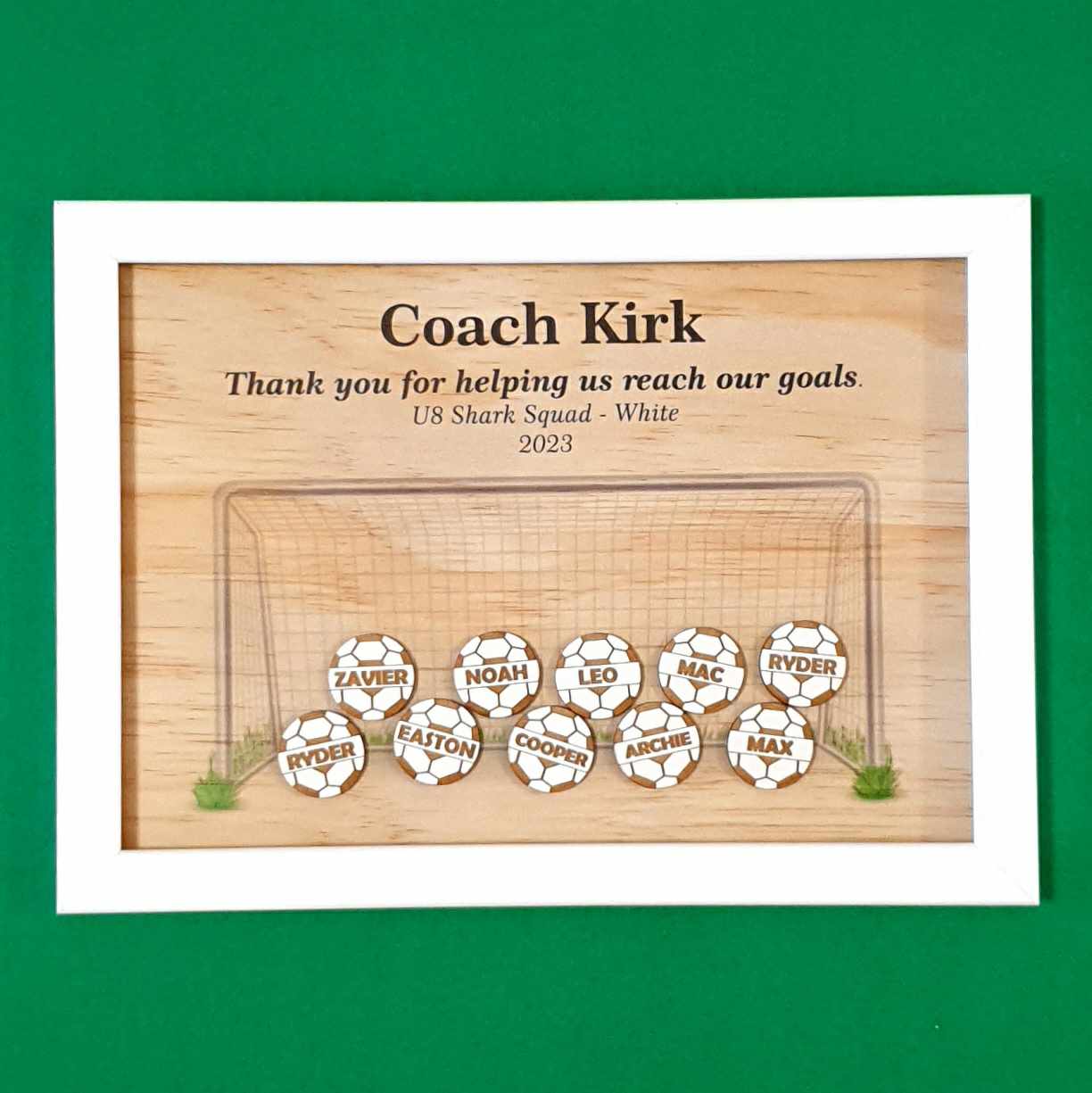 Coach Frames