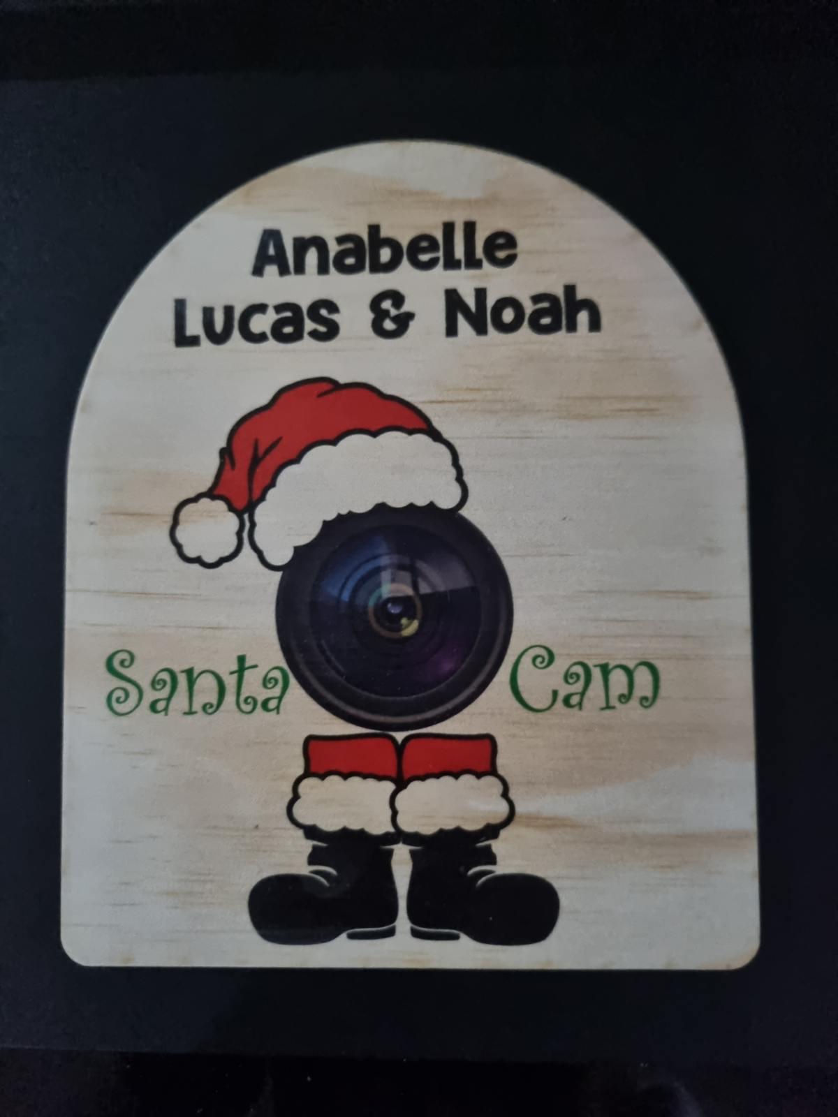 SPECIAL OFFER - Santa Cam's